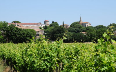 Entre-Vignes, France